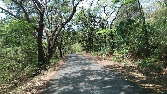 Phansad Wildlife Sanctuary